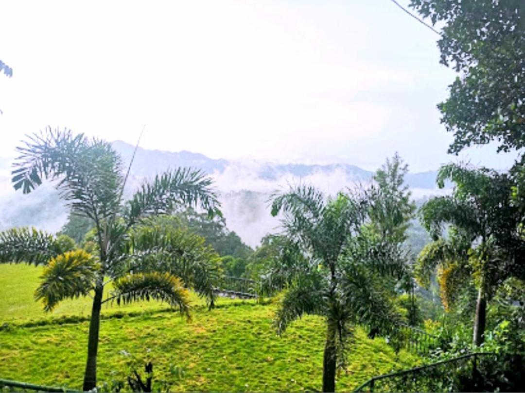 Broad View Apartment Ella Bagian luar foto