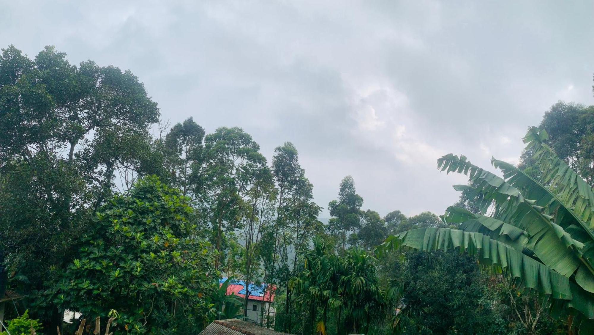 Broad View Apartment Ella Bagian luar foto