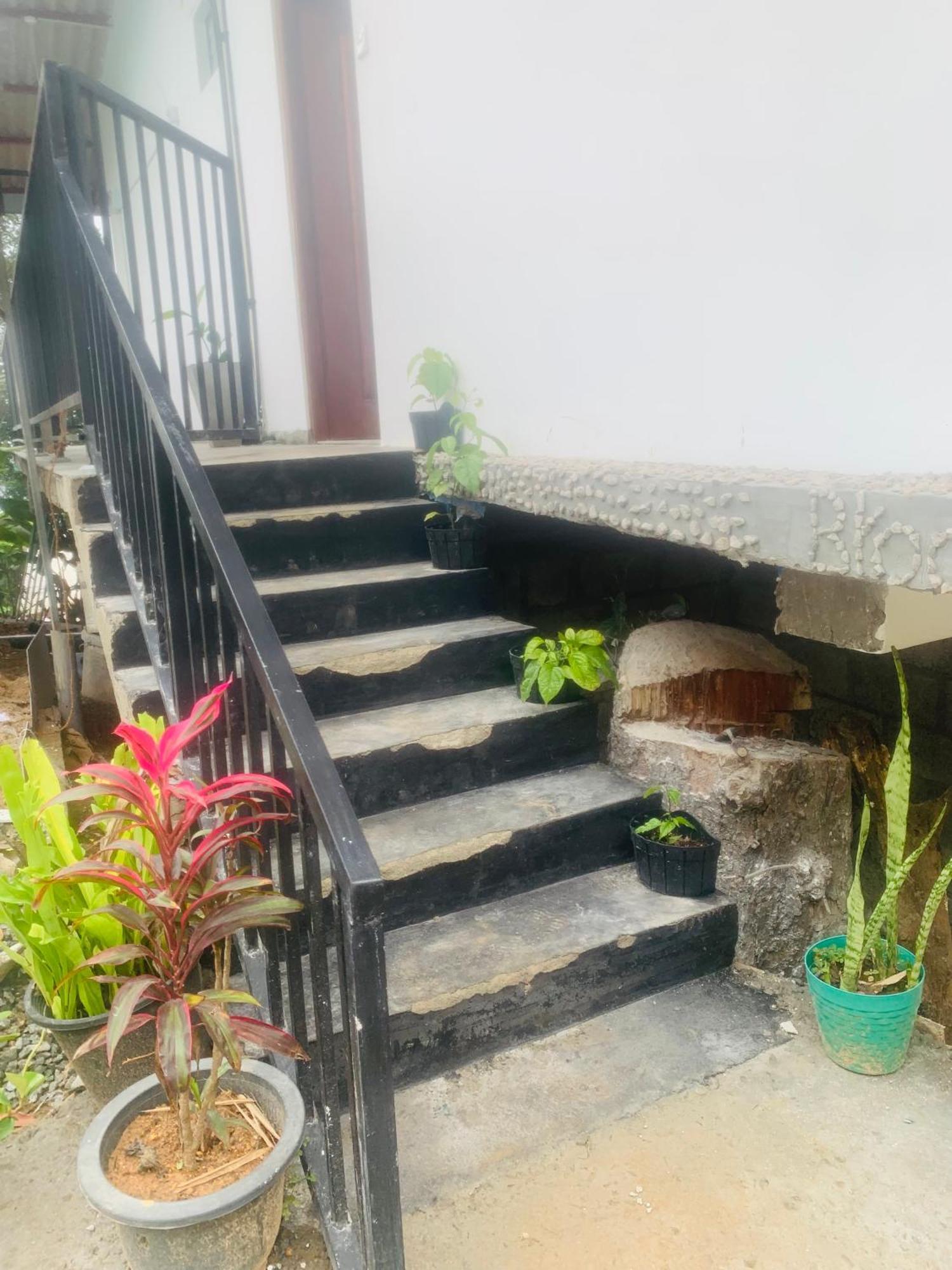 Broad View Apartment Ella Bagian luar foto