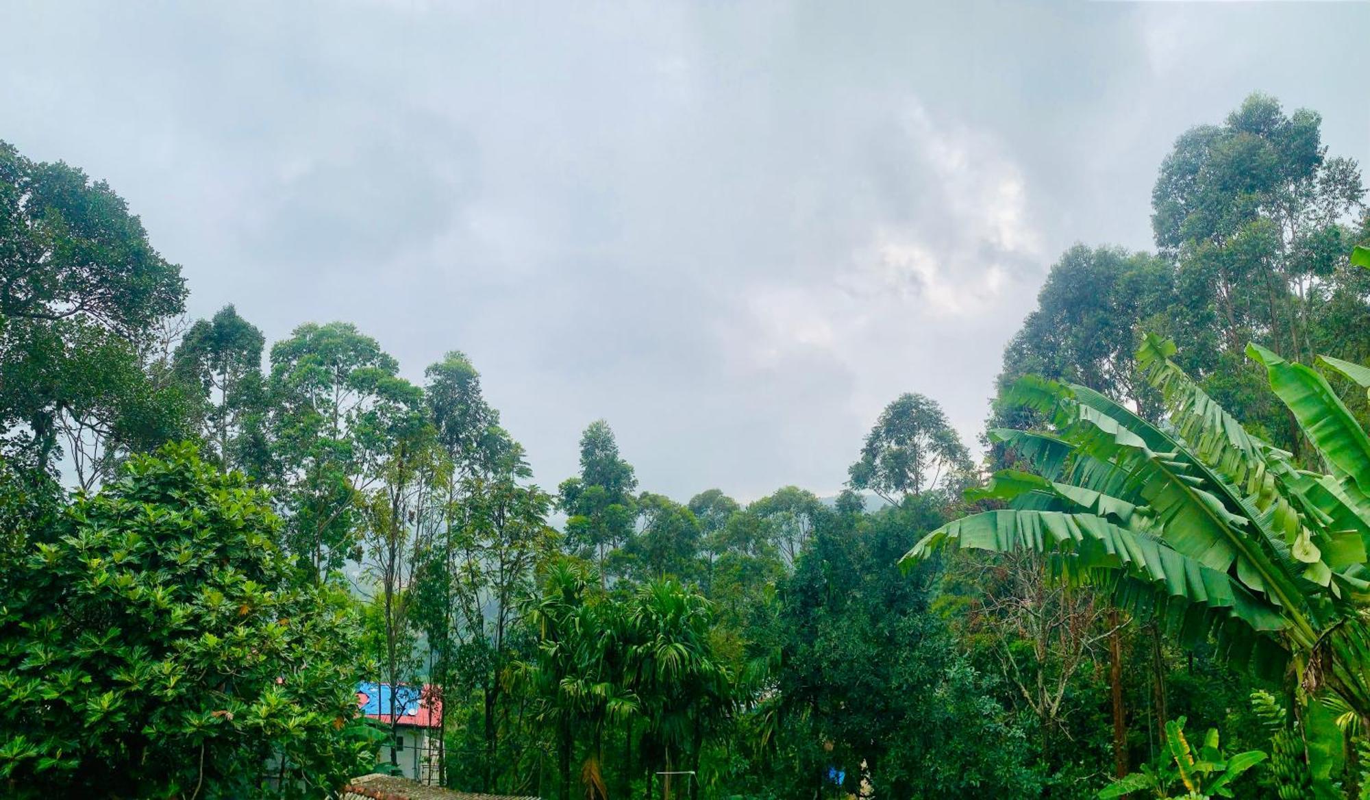 Broad View Apartment Ella Bagian luar foto