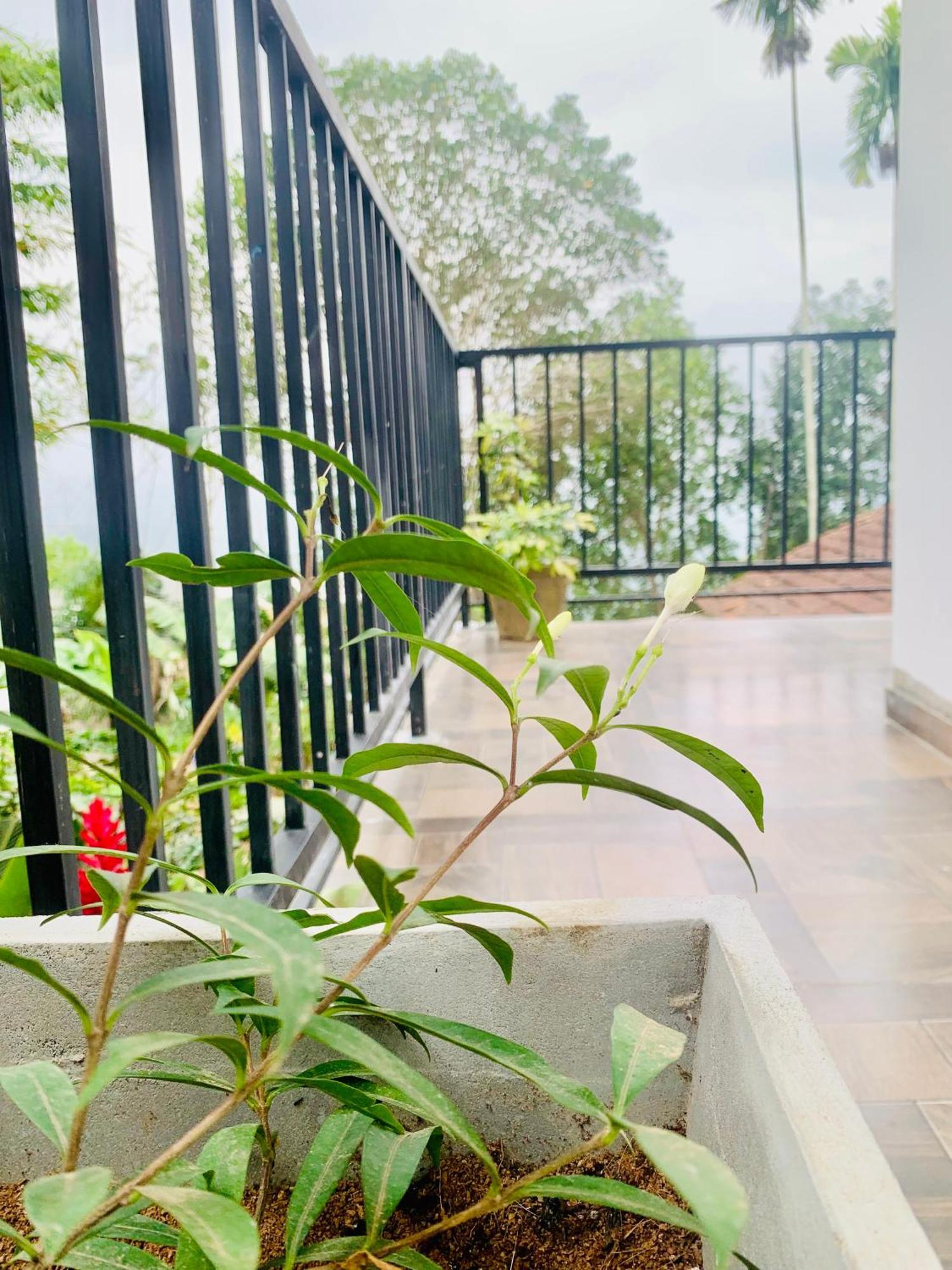 Broad View Apartment Ella Bagian luar foto