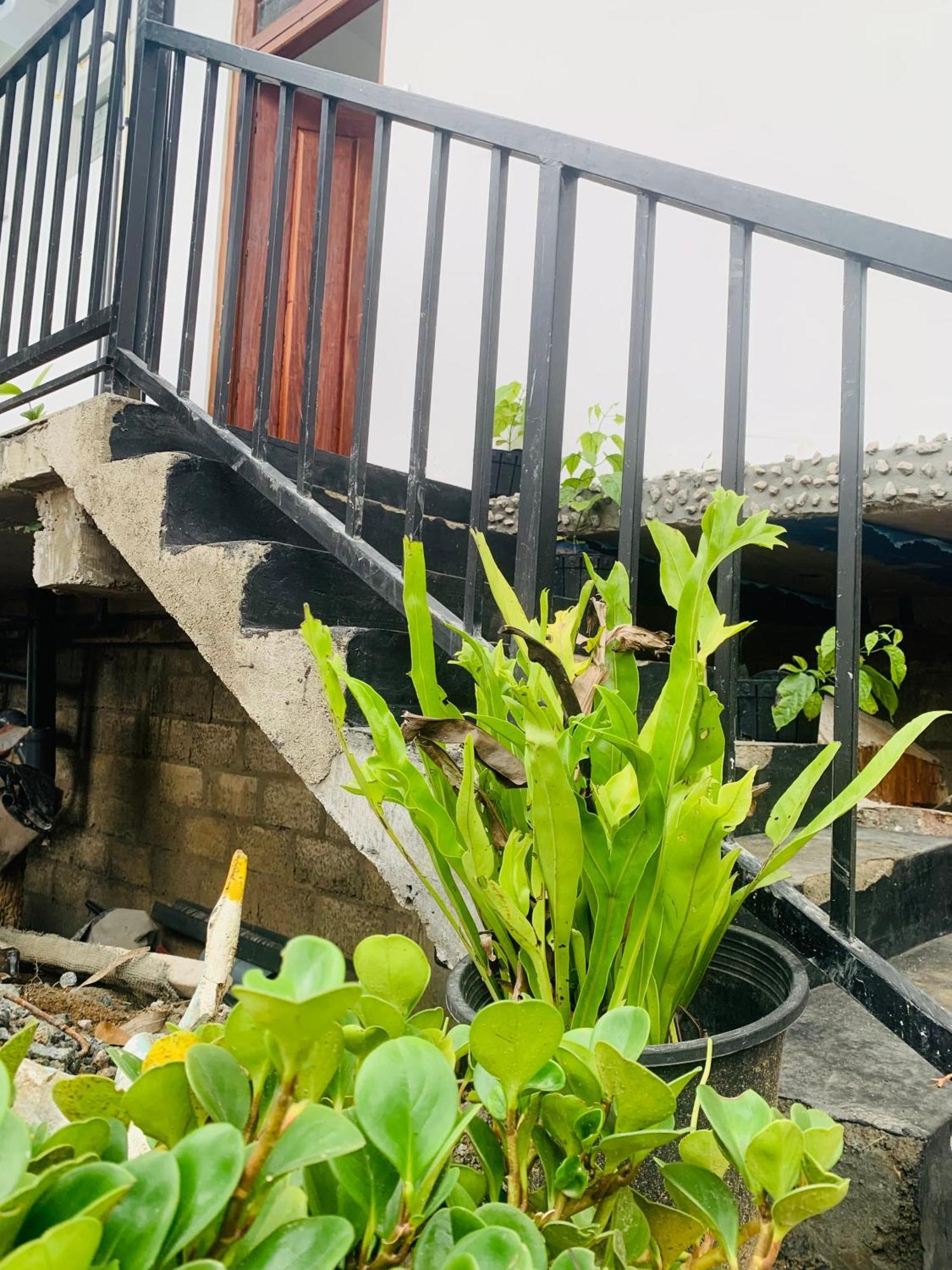 Broad View Apartment Ella Bagian luar foto