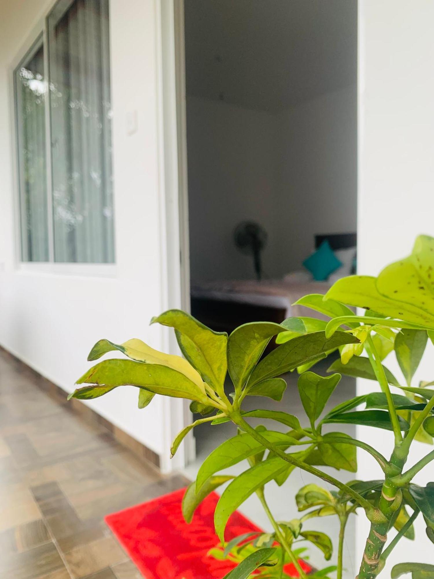 Broad View Apartment Ella Bagian luar foto
