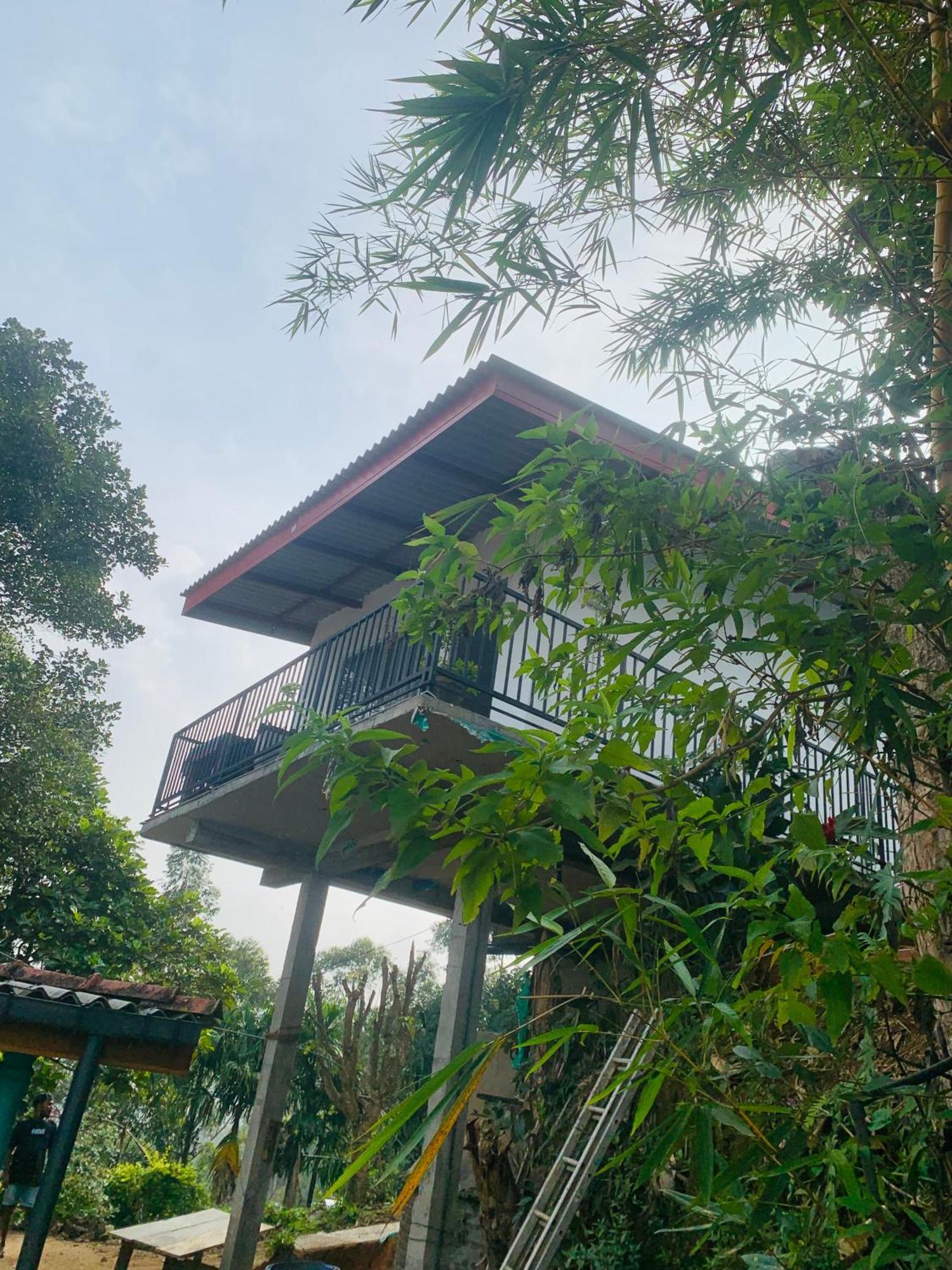Broad View Apartment Ella Bagian luar foto